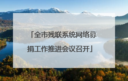 全市残联系统网络募捐工作推进会议召开