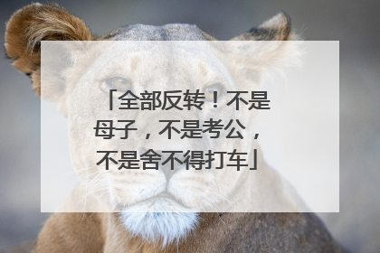 全部反转！不是母子，不是考公，不是舍不得打车