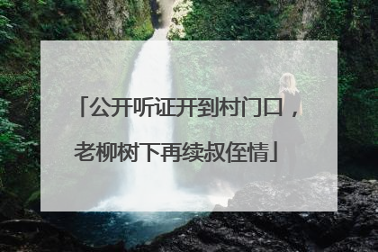 公开听证开到村门口，老柳树下再续叔侄情