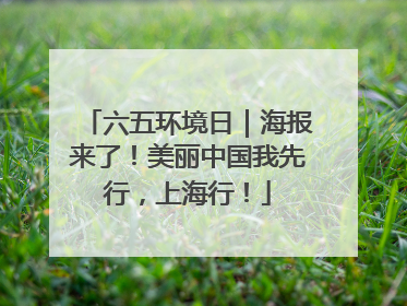 六五环境日｜海报来了！美丽中国我先行，上海行！