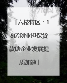 六枝特区：18亿创业担保贷款助企业发展提质加速