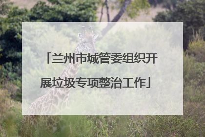 兰州市城管委组织开展垃圾专项整治工作