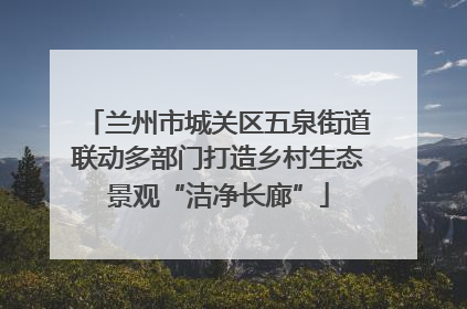 兰州市城关区五泉街道联动多部门打造乡村生态景观“洁净长廊”