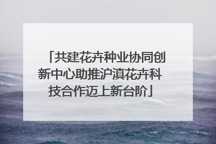 共建花卉种业协同创新中心助推沪滇花卉科技合作迈上新台阶
