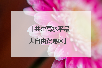 共建高水平最大自由贸易区
