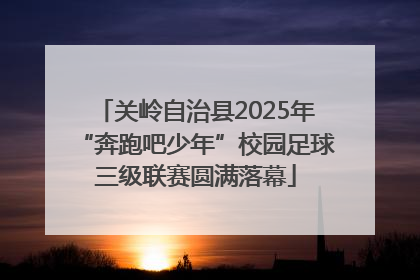 关岭自治县2025年“奔跑吧少年”校园足球三级联赛圆满落幕
