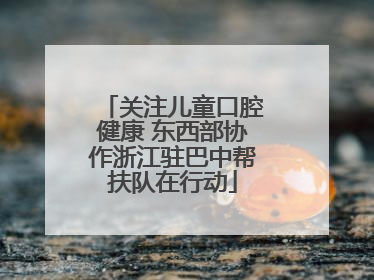 关注儿童口腔健康 东西部协作浙江驻巴中帮扶队在行动