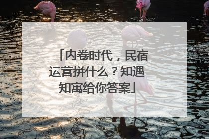 内卷时代，民宿运营拼什么？知遇知寓给你答案