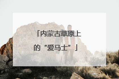 内蒙古草原上的“爱马士”