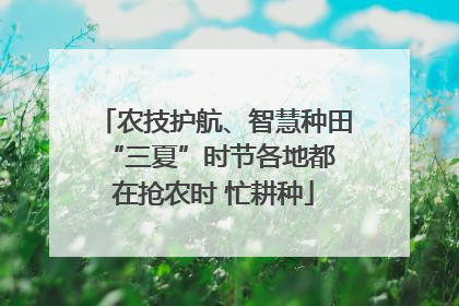 农技护航、智慧种田 “三夏”时节各地都在抢农时 忙耕种