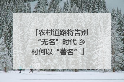 农村道路将告别“无名”时代 乡村何以“著名”