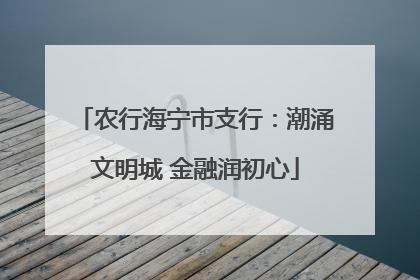 农行海宁市支行：潮涌文明城 金融润初心