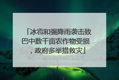冰雹和强降雨袭击致巴中数千亩农作物受损，政府多举措救灾