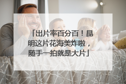 出片率百分百！昆明这片花海美炸啦，随手一拍就是大片