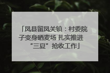 凤县留凤关镇：村委院子变身晒麦场 扎实推进“三夏”抢收工作