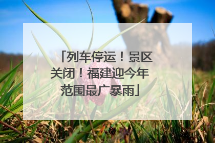 列车停运！景区关闭！福建迎今年范围最广暴雨
