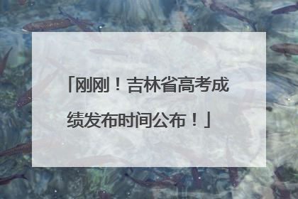 刚刚！吉林省高考成绩发布时间公布！