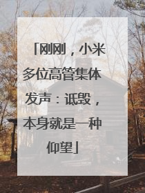 刚刚，小米多位高管集体发声：诋毁，本身就是一种仰望