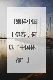 别样中国丨伊春，何以“中国林都”