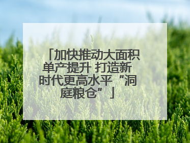 加快推动大面积单产提升 打造新时代更高水平“洞庭粮仓”