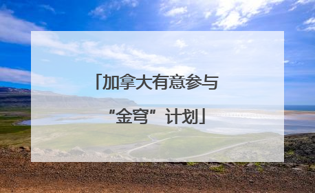加拿大有意参与“金穹”计划