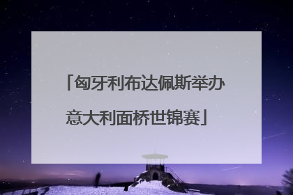 匈牙利布达佩斯举办意大利面桥世锦赛