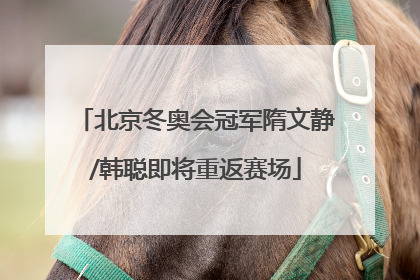 北京冬奥会冠军隋文静/韩聪即将重返赛场