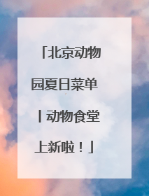 北京动物园夏日菜单丨动物食堂上新啦！