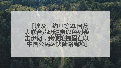 埃及、约旦等21国发表联合声明谴责以色列袭击伊朗，我使馆提醒在以中国公民尽快陆路离境