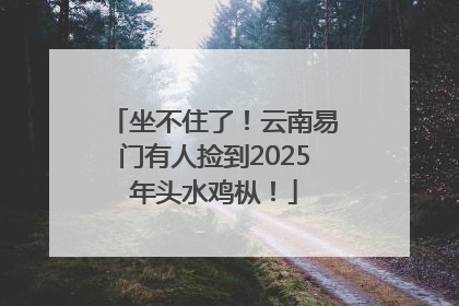 坐不住了！云南易门有人捡到2025年头水鸡枞！