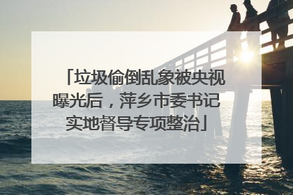 垃圾偷倒乱象被央视曝光后，萍乡市委书记实地督导专项整治