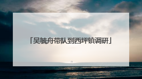 吴毓舟带队到西坪镇调研