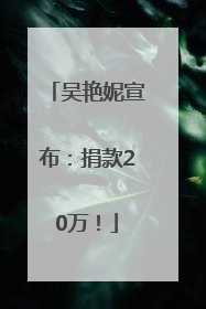 吴艳妮宣布：捐款20万！