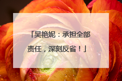 吴艳妮：承担全部责任，深刻反省！