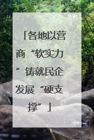 各地以营商“软实力”铸就民企发展“硬支撑”
