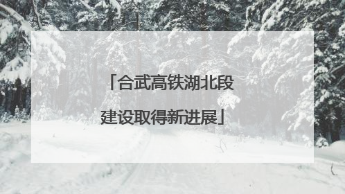 合武高铁湖北段建设取得新进展