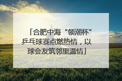 合肥中海“领潮杯”乒乓球赛点燃热情，以球会友筑邻里温情