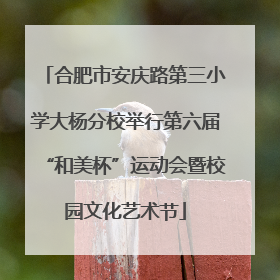 合肥市安庆路第三小学大杨分校举行第六届“和美杯”运动会暨校园文化艺术节