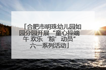 合肥市明珠幼儿园如园分园开展“童心撞端午 欢乐‘粽’动员”六一系列活动