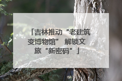 吉林推动“老建筑变博物馆” 解锁文旅“新密码”