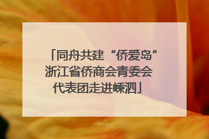 同舟共建“侨爱岛” 浙江省侨商会青委会代表团走进嵊泗