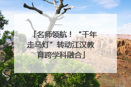 名师领航！“千年走马灯”转动江汉教育跨学科融合