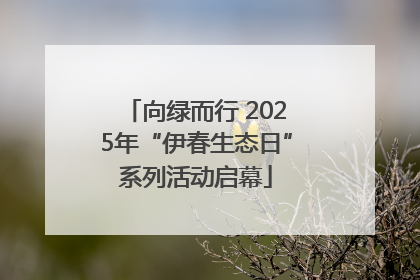 向绿而行 2025年“伊春生态日”系列活动启幕