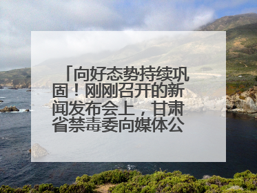向好态势持续巩固！刚刚召开的新闻发布会上，甘肃省禁毒委向媒体公布三年禁毒工作“成绩单”