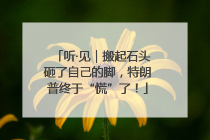 听·见｜搬起石头砸了自己的脚，特朗普终于“慌”了！