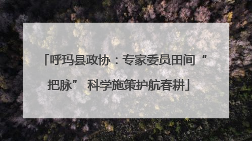 呼玛县政协：专家委员田间“把脉” 科学施策护航春耕