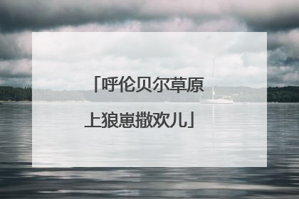 呼伦贝尔草原上狼崽撒欢儿