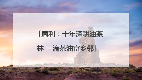 周利：十年深耕油茶林 一滴茶油富乡邻