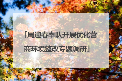 周迎春率队开展优化营商环境整改专题调研