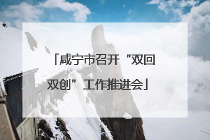 咸宁市召开“双回双创”工作推进会